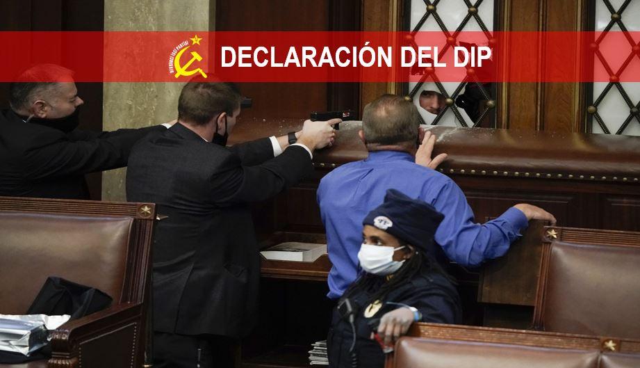 Declaración del DIP: ¡Organicemos la lucha contra el fascismo del MAGA por cualquier medio necesario! ¡Ninguna confianza en los corruptos y estúpidos políticos Demócratas!